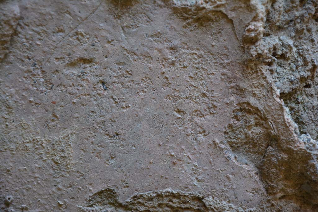 IX.5.6 Pompeii. May 2017. Room t, detail from lower north wall at west end.
Foto Christian Beck, ERC Grant 681269 D�COR.

