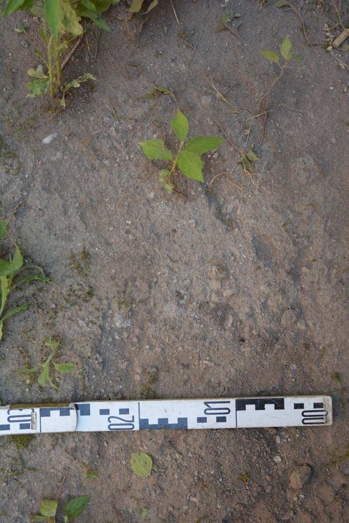 IX.5.6 Pompeii. May 2017. Room s, flooring.
Foto Christian Beck, ERC Grant 681269 D�COR.
