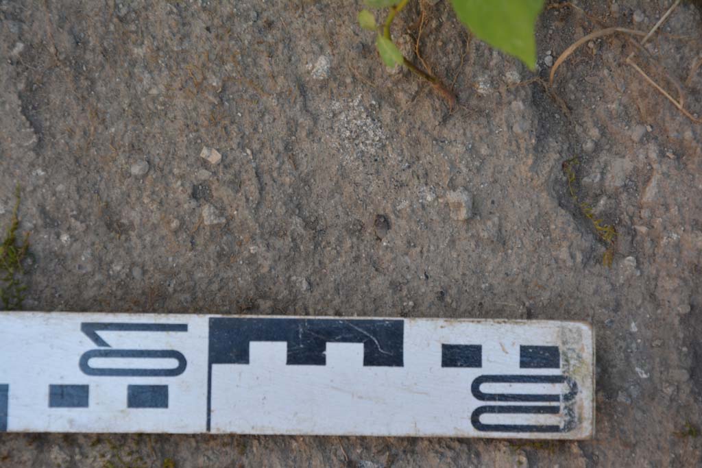 IX.5.6 Pompeii. May 2017. Room s, detail from flooring.
Foto Christian Beck, ERC Grant 681269 D�COR.

