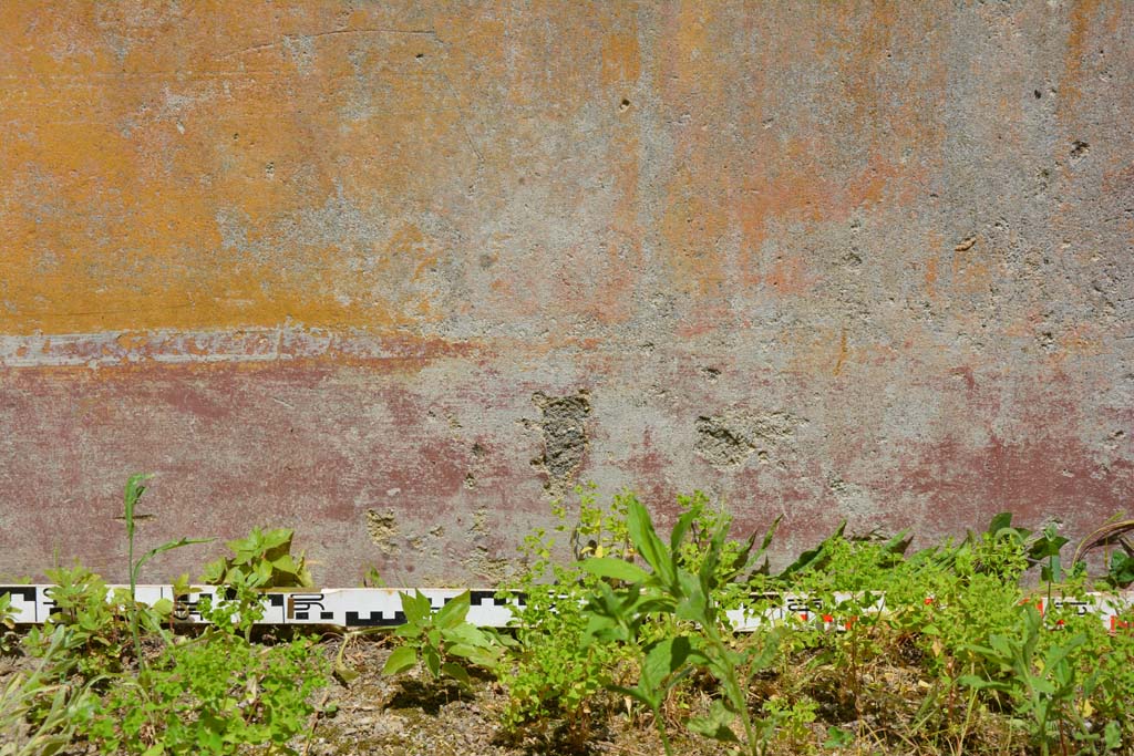 IX.5.6 Pompeii. May 2017. Room s, detail from lower north wall.
Foto Christian Beck, ERC Grant 681269 D�COR.

