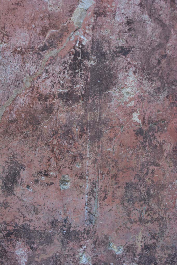 IX.5.6 Pompeii. May 2017. 
West ala d, south wall at east end, detail of carpet border edging of panel.
Foto Christian Beck, ERC Grant 681269 D�COR.
