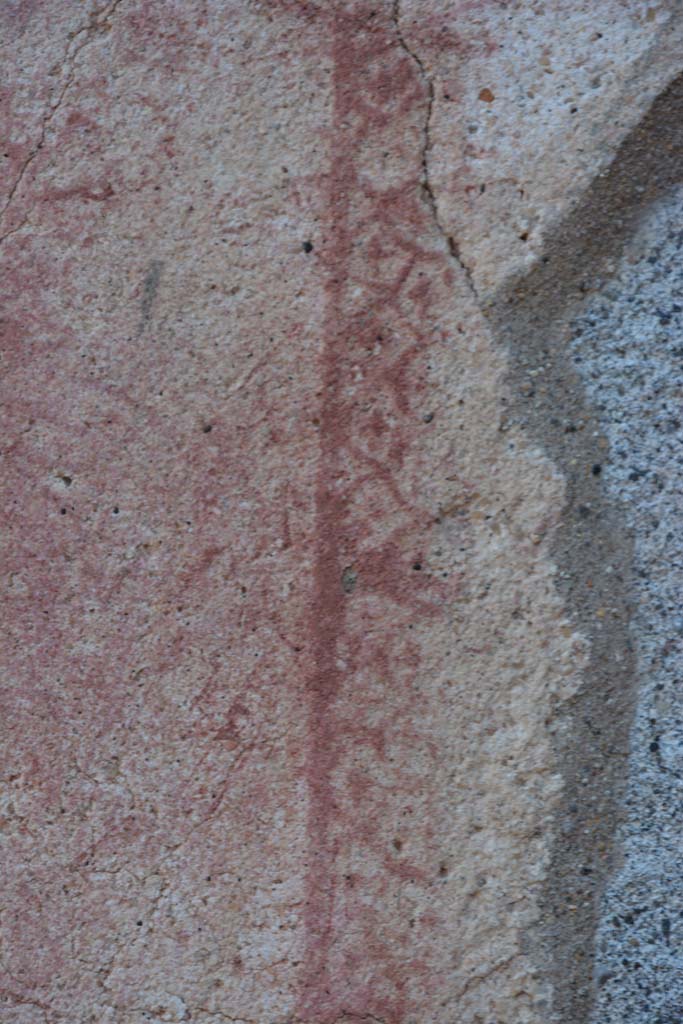 IX.5.6 Pompeii. May 2017. 
West ala d, detail of carpet border edging on south wall at west end.
Foto Christian Beck, ERC Grant 681269 D�COR.

