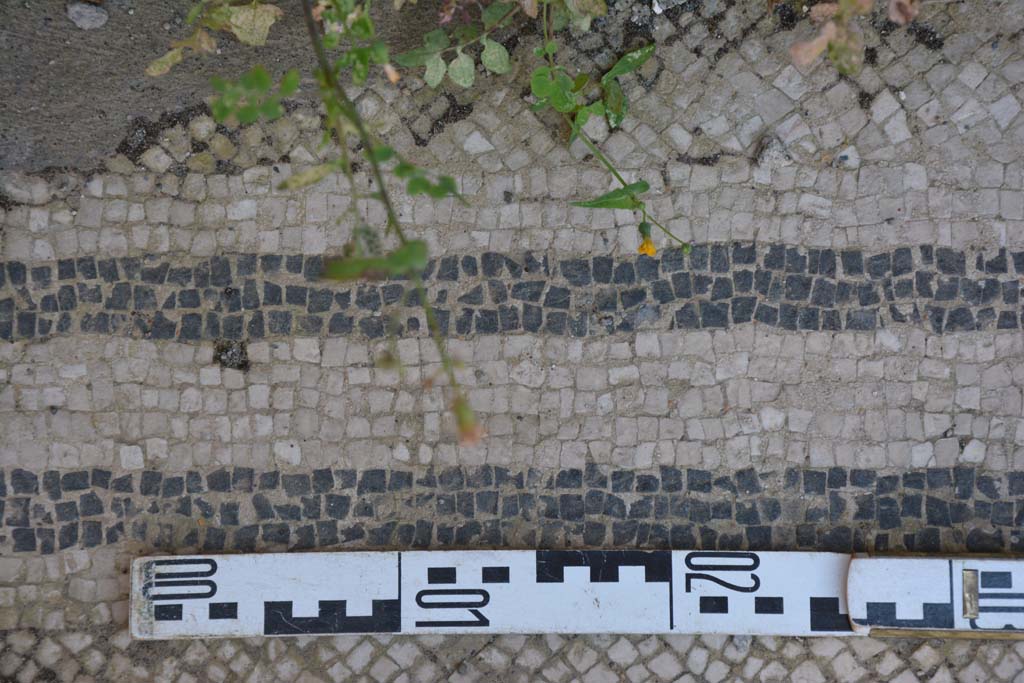 IX.5.6 Pompeii. May 2017. West ala d, flooring, white tesserae with two black bands.
Foto Christian Beck, ERC Grant 681269 D�COR.

