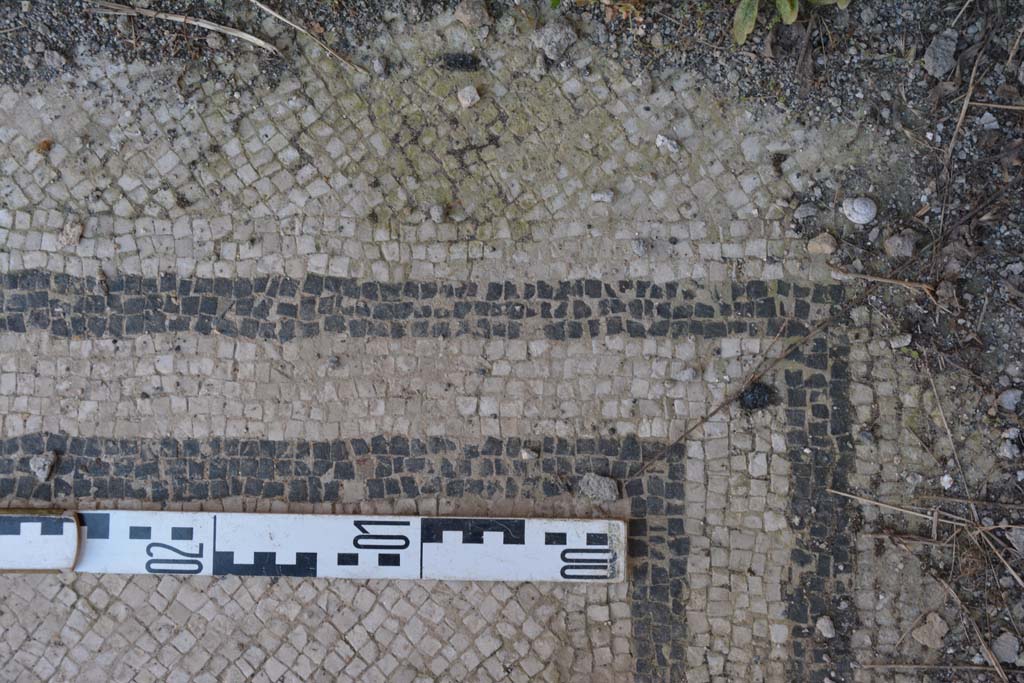 IX.5.6 Pompeii. May 2017. West ala d, flooring at corner of room.
Foto Christian Beck, ERC Grant 681269 D�COR.
