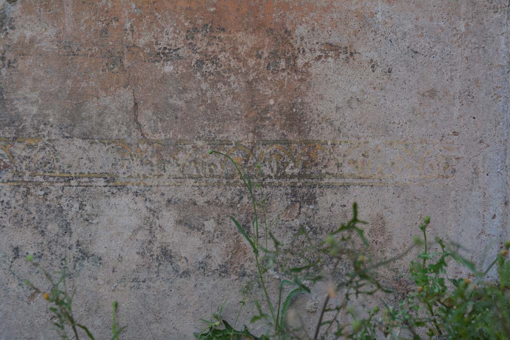 IX.5.6 Pompeii. May 2017. West ala d, west wall at north end, detail of painted decoration on zoccolo.
Foto Christian Beck, ERC Grant 681269 D�COR.

