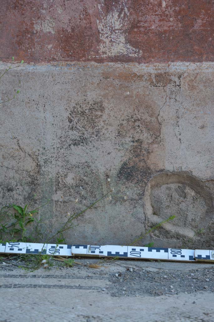 IX.5.6 Pompeii. May 2017. West ala d, north wall, zoccolo with remains of painted plants.
Foto Christian Beck, ERC Grant 681269 D�COR.

