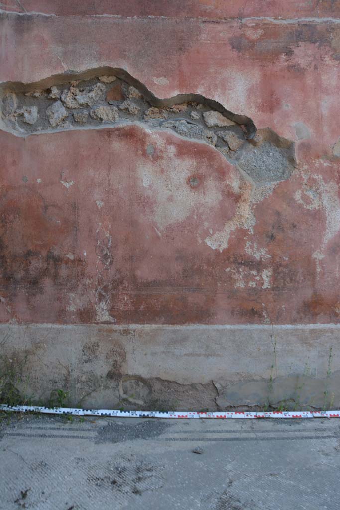 IX.5.6 Pompeii. May 2017. West ala d, north wall, area of central panel.
Foto Christian Beck, ERC Grant 681269 D�COR.
In the central panel of the black zoccolo, there was a picture with a dolphin supported by slender cornucopias and flanked by arched garlands: the side panels were crossed by carpet borders of triangles and semicircles; in the dividing compartments there were painted plants with long lanceolate leaves.
See Carratelli, G. P., 1990-2003. Pompei: Pitture e Mosaici. IX. (9). Roma: Istituto della enciclopedia italiana, p. 414. Nos 20-22).
