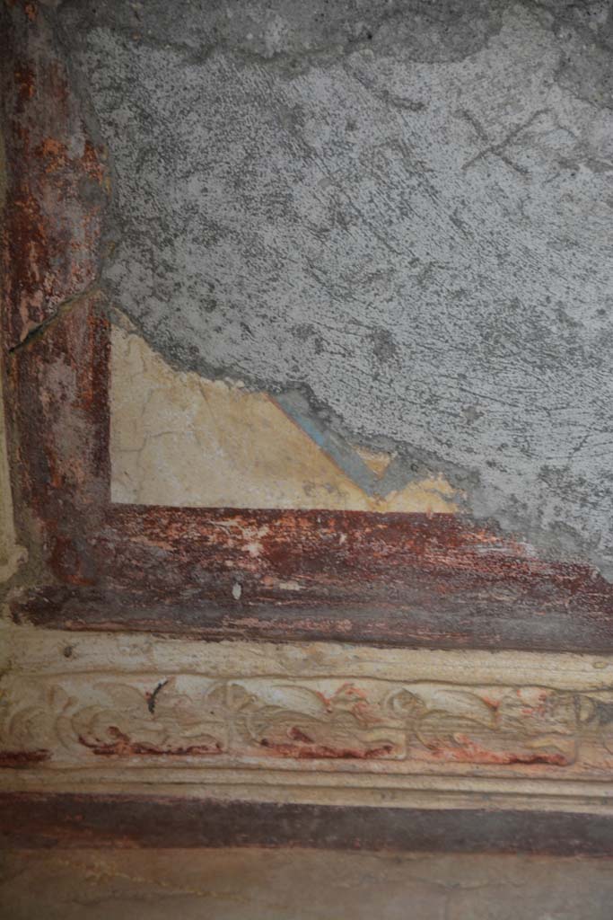 IX.5.6 Pompeii. May 2017. 
Room h, detail from stucco cornice with marine griffins on south wall, with purple ceiling border, above.  
Foto Christian Beck, ERC Grant 681269 D�COR.

