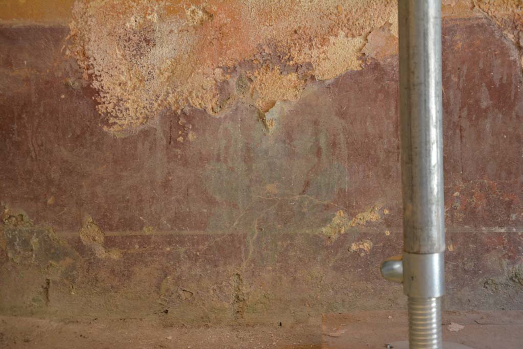 IX.5.6 Pompeii. May 2017. Room h, detail of zoccolo on north wall at west end.
Foto Christian Beck, ERC Grant 681269 D�COR.
The purple zoccolo shows, in the long side panels, plants with wide fleshy leaves and in the central compartment a plate. 
