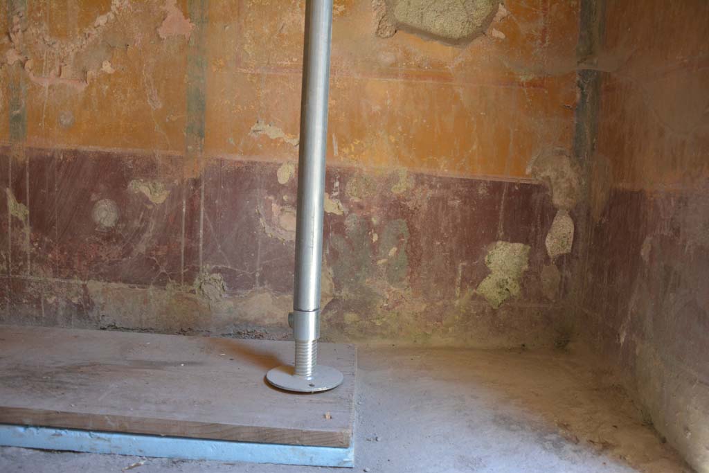 IX.5.6 Pompeii. May 2017. Room h, looking towards north wall at east end.  
Foto Christian Beck, ERC Grant 681269 D�COR.
The purple zoccolo shows, in the long side panels, plants with wide fleshy leaves and in the central compartment a plate. 
