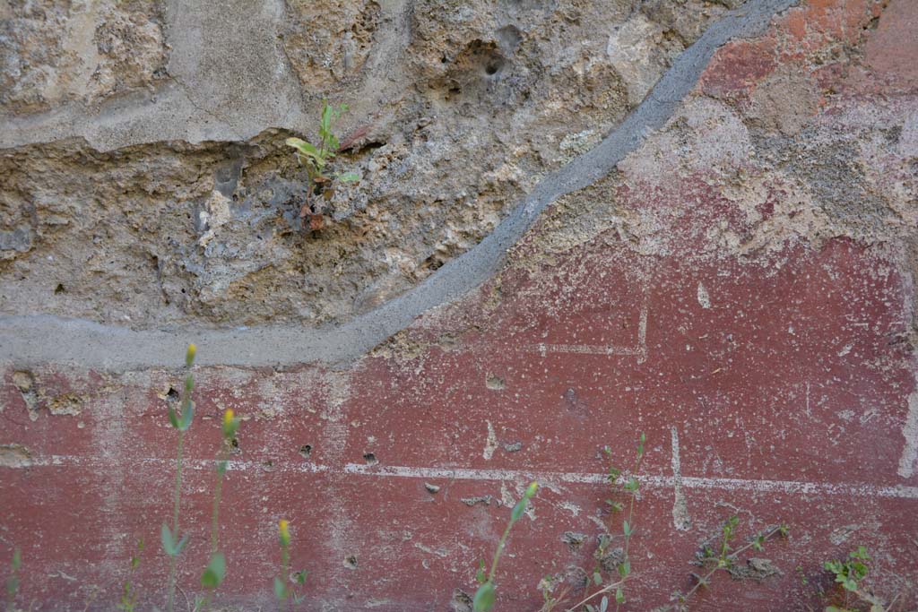 IX.5.6 Pompeii. May 2017. Room f, detail from zoccolo on north wall at east end
Foto Christian Beck, ERC Grant 681269 D�COR.
