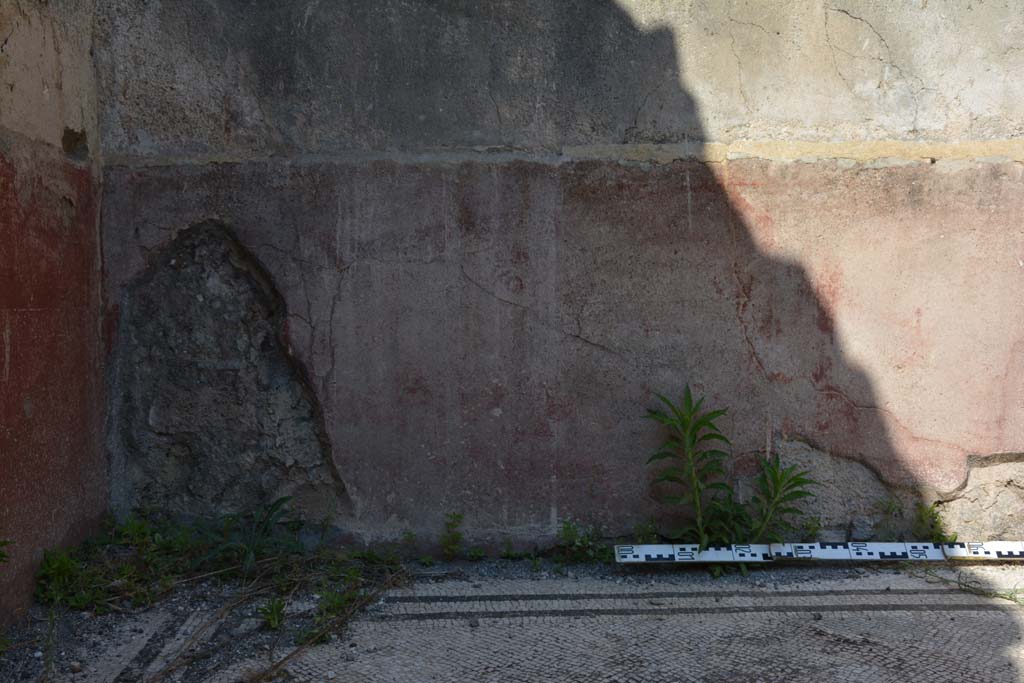 IX.5.6 Pompeii. May 2017. East ala e, zoccolo at north end of east wall 
Foto Christian Beck, ERC Grant 681269 D�COR.
