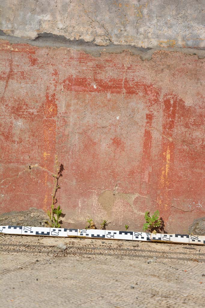 IX.5.6 Pompeii. May 2017. East ala e, detail of compartment of zoccolo on east wall 
Foto Christian Beck, ERC Grant 681269 D�COR.
