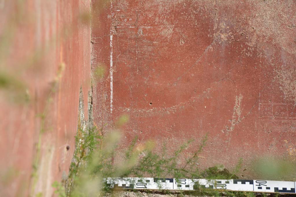 IX.5.6 Pompeii. May 2017. East ala e, detail of zoccolo on south wall at east end.
Foto Christian Beck, ERC Grant 681269 D�COR.
