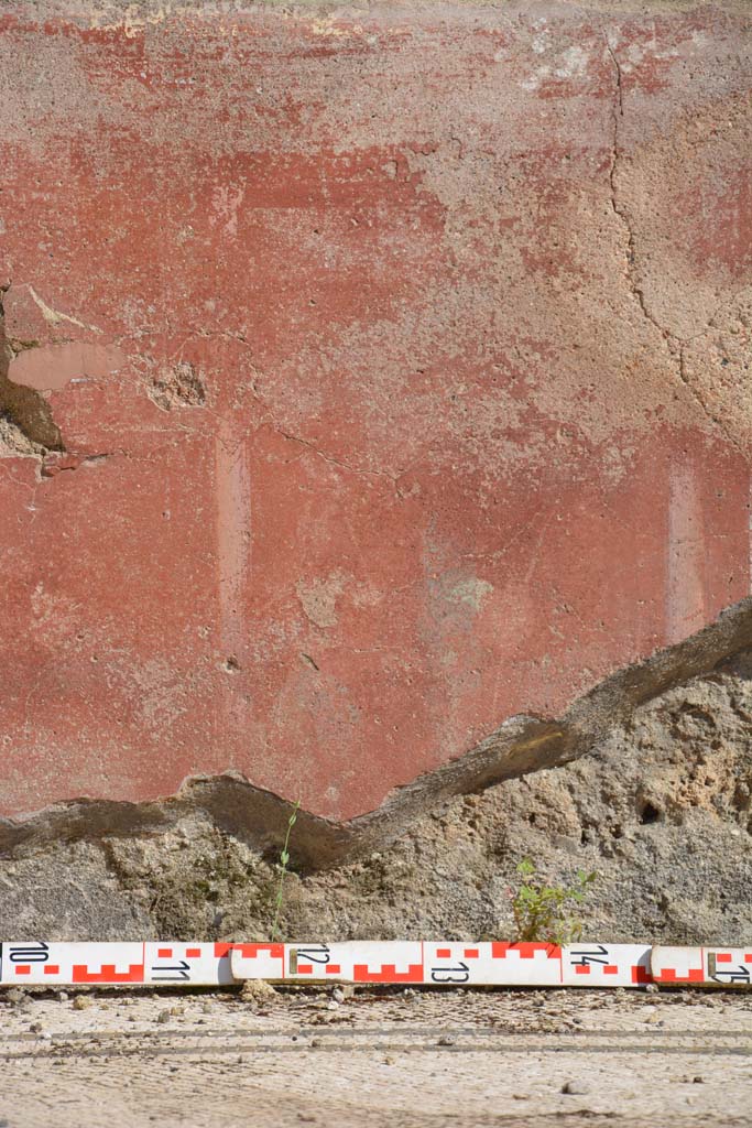 IX.5.6 Pompeii. May 2017. East ala e, detail of zoccolo in centre of south wall. 
Foto Christian Beck, ERC Grant 681269 D�COR.

