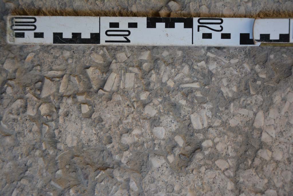 IX.5.6 Pompeii. May 2017. Room g, detail of flooring. 
Foto Christian Beck, ERC Grant 681269 D�COR.

