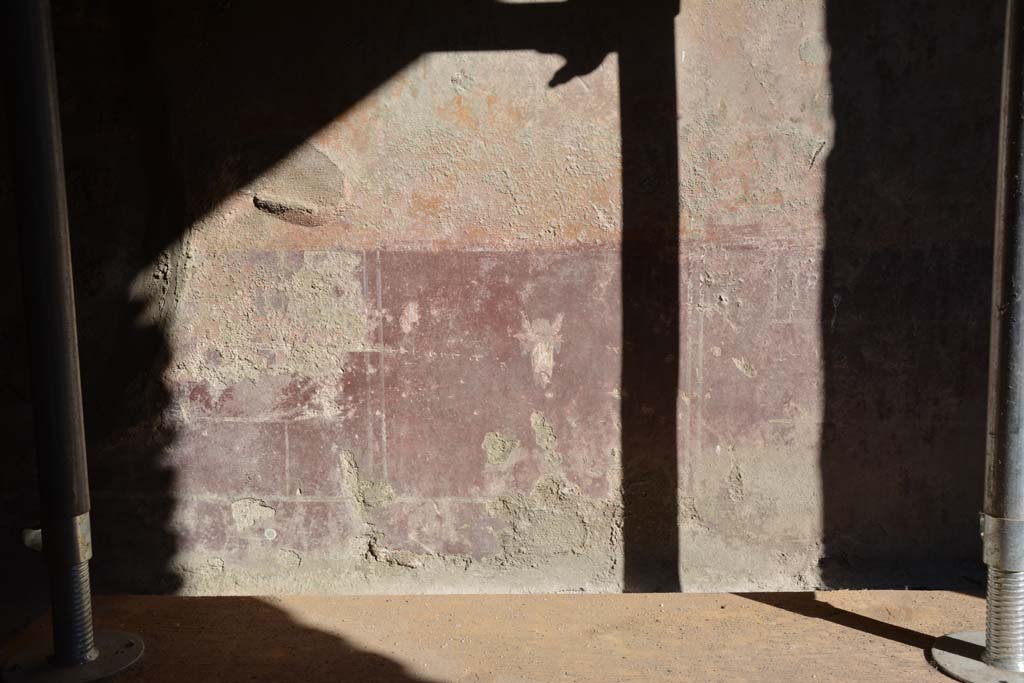 IX.5.6 Pompeii. May 2017. Room g, detail from zoccolo on south wall.  
Foto Christian Beck, ERC Grant 681269 D�COR.

