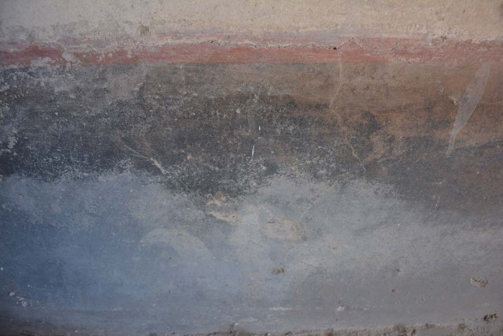 IX.5.6 Pompeii. May 2017. Room k�, detail of painted plant from zoccolo on east wall. 
Foto Christian Beck, ERC Grant 681269 D�COR.


