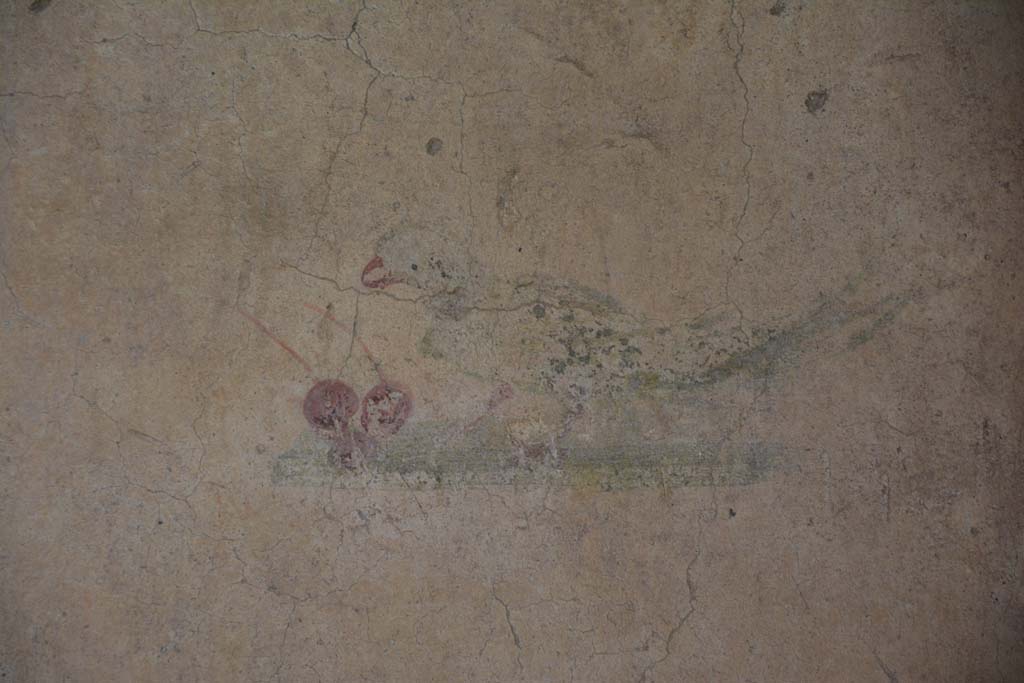 IX.5.6 Pompeii. May 2017. Room l (L), detail of painted bird with two cherries on north wall, panel at east end.
Foto Christian Beck, ERC Grant 681269 D�COR.

