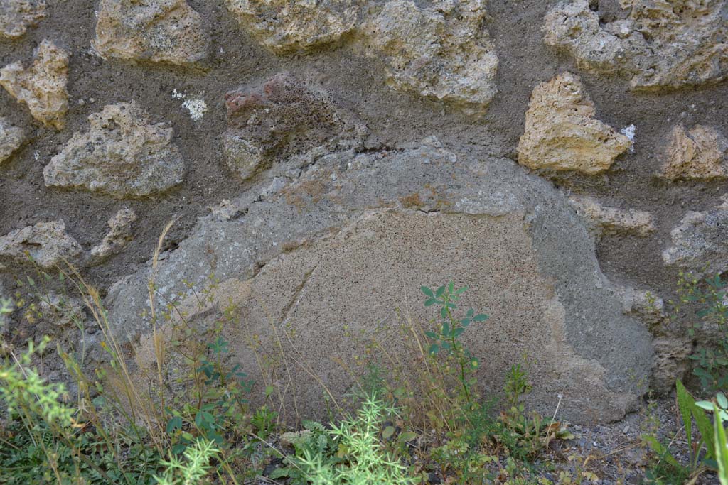 IX.5.7 Pompeii. May 2017. Detail from lower east wall.
Foto Christian Beck, ERC Grant 681269 D�COR.
