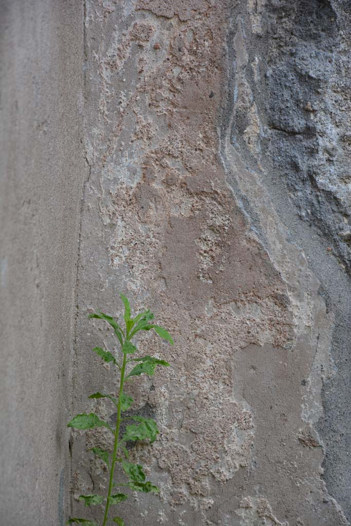 IX.5.8 Pompeii. May 2017. Detail from remaining stucco on west wall at south end.
Foto Christian Beck, ERC Grant 681269 D�COR.
