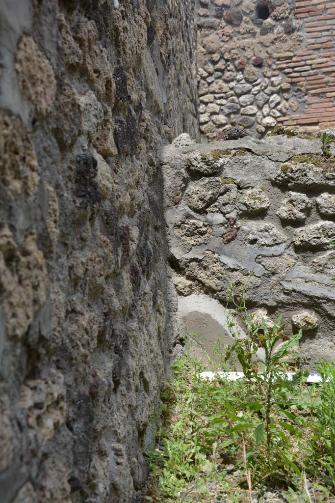 IX.5.8 Pompeii. May 2017. Detail from wall in north-west corner.
Foto Christian Beck, ERC Grant 681269 D�COR.
