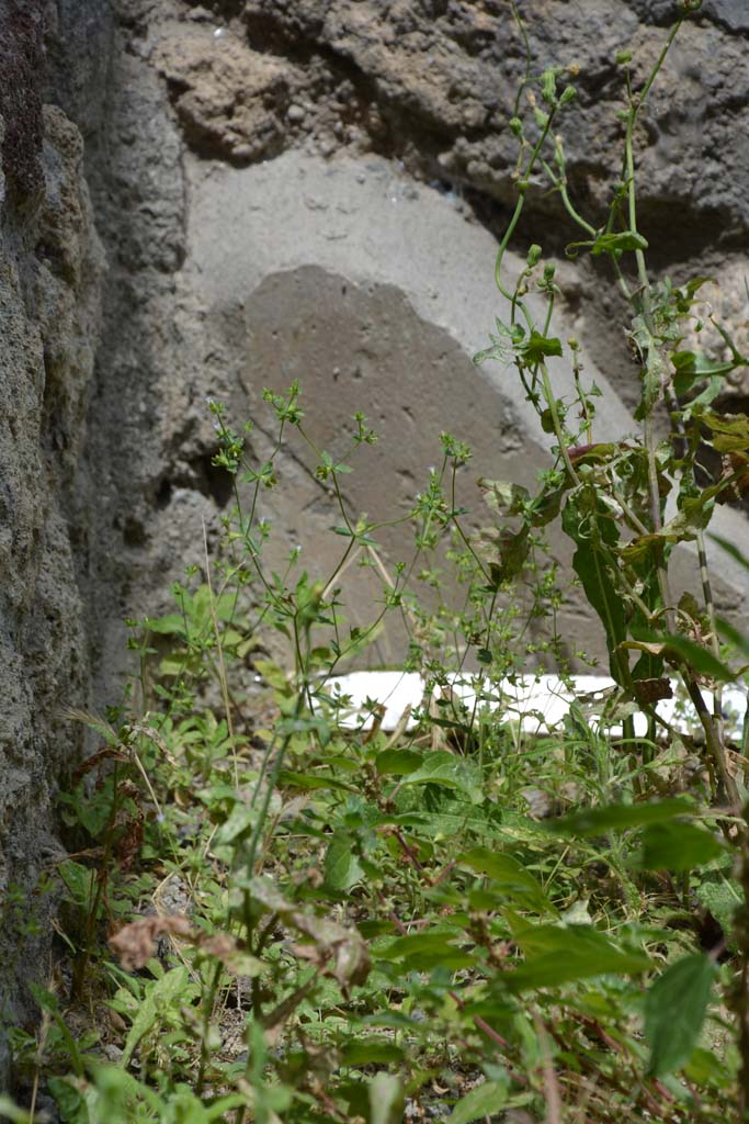 IX.5.8 Pompeii. May 2017. Detail of remaining plaster from wall in north-west corner.
Foto Christian Beck, ERC Grant 681269 D�COR.
