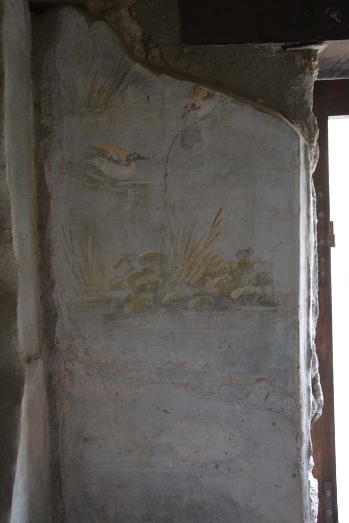 IX.5.9 Pompeii. March 2017. Room �l (L)�, upper east wall on north side of doorway.
Foto Christian Beck, ERC Grant 681269 D�COR.
