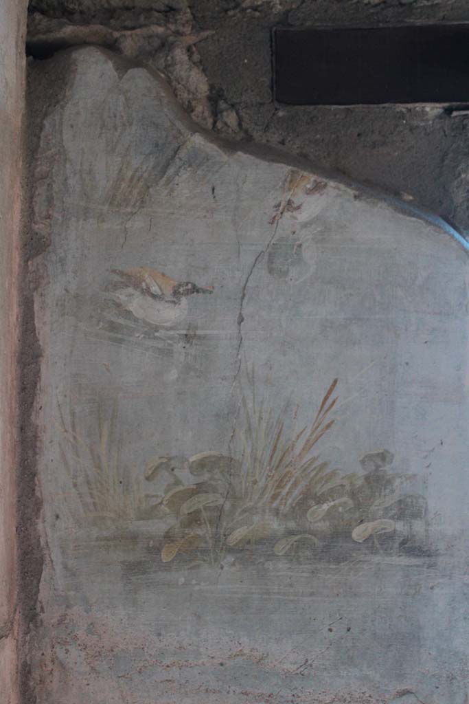IX.5.9 Pompeii. May 2019. Room �l (L)�, detail from upper east wall.  
Foto Christian Beck, ERC Grant 681269 D�COR.
