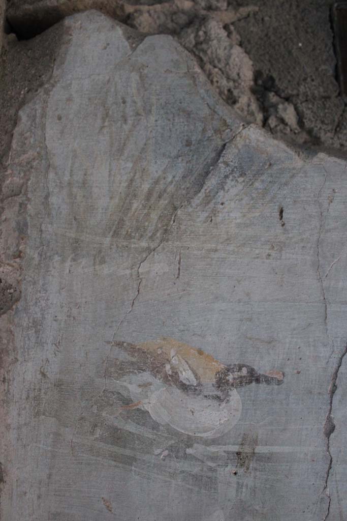 IX.5.9 Pompeii. May 2019. Room �l (L)�, detail of painted duck from upper east wall.  
Foto Christian Beck, ERC Grant 681269 D�COR.
