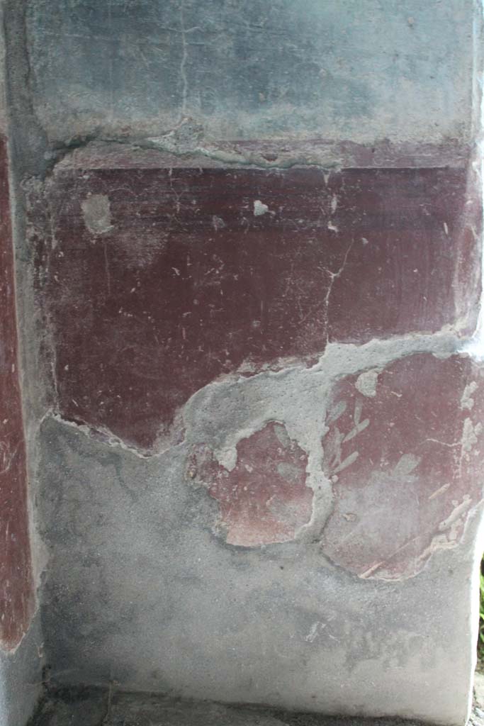 IX.5.9 Pompeii. May 2019. 
Room �l (L)�, detail of zoccolo with remaining painted plant on east wall. 
Foto Christian Beck, ERC Grant 681269 D�COR.

