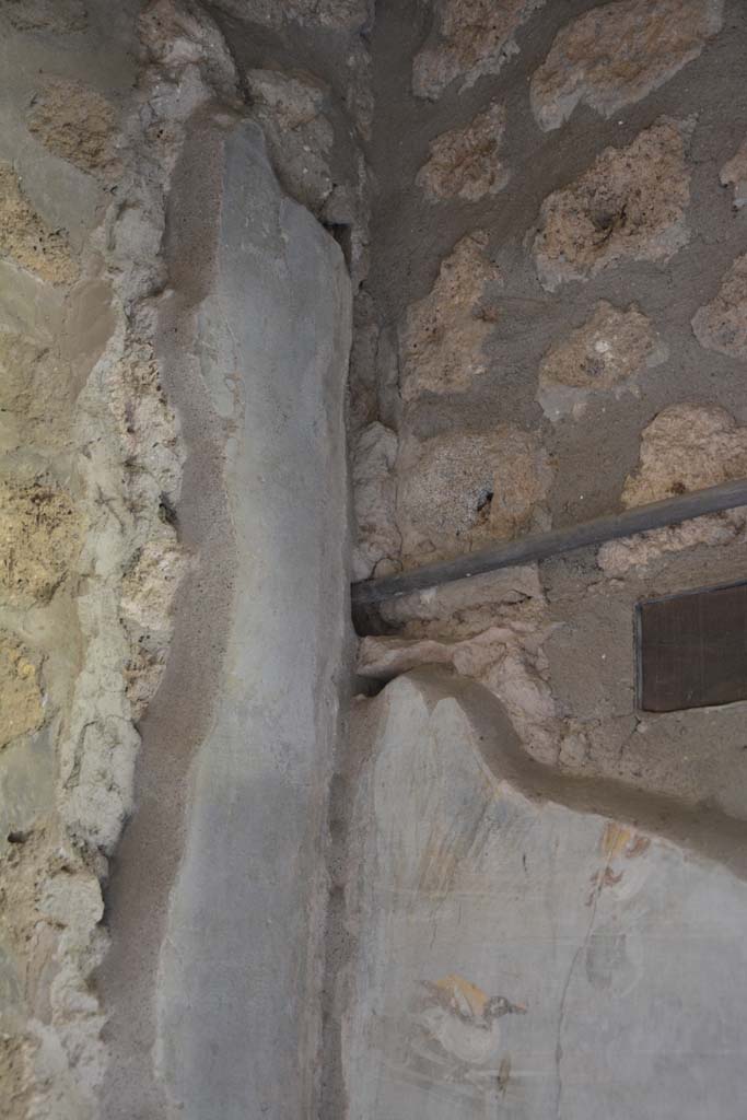 IX.5.9 Pompeii. May 2017. Room �l (L)�, upper north-east corner.
Foto Christian Beck, ERC Grant 681269 D�COR.
