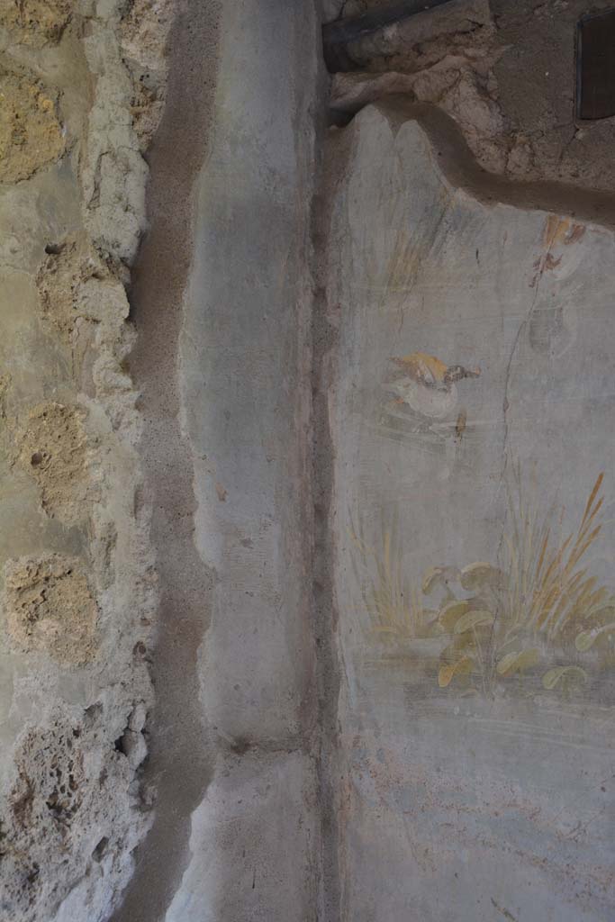 IX.5.9 Pompeii. May 2017. Room �l (L)�, north-east corner.
Foto Christian Beck, ERC Grant 681269 D�COR.
