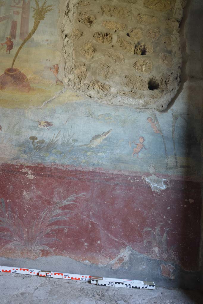IX.5.9 Pompeii. May 2017. Room �l (L)�, zoccolo on lower north wall at east end.
Foto Christian Beck, ERC Grant 681269 D�COR.
