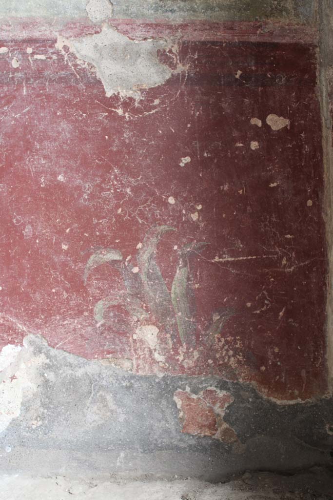 IX.5.9 Pompeii. May 2019. Room l (L), zoccolo on lower north wall at east end.  
Foto Christian Beck, ERC Grant 681269 D�COR.

