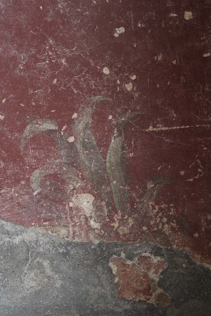 IX.5.9 Pompeii. May 2019. 
Room l (L), detail of painted plant on lower zoccolo of north wall at east end.  
Foto Christian Beck, ERC Grant 681269 D�COR.
