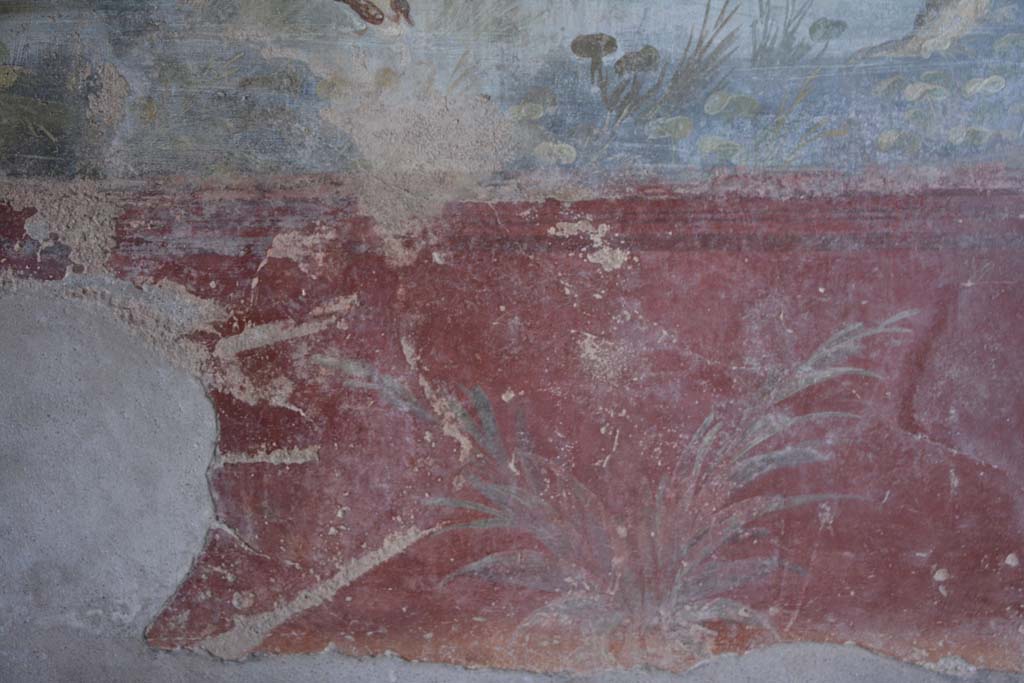 IX.5.9 Pompeii. March 2017. Room �l (L)�, zoccolo on lower north wall towards centre.  
Foto Christian Beck, ERC Grant 681269 D�COR.
