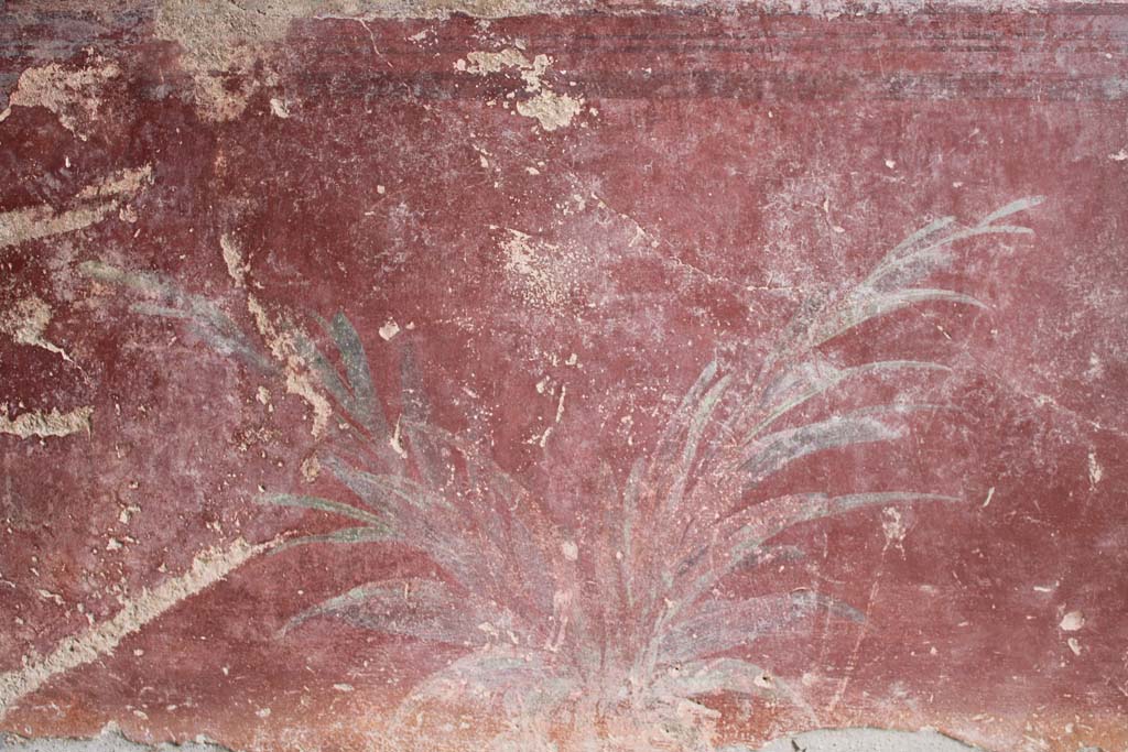 IX.5.9 Pompeii. May 2019. Room l (L), zoccolo on lower north wall towards centre.  
Foto Christian Beck, ERC Grant 681269 D�COR.

