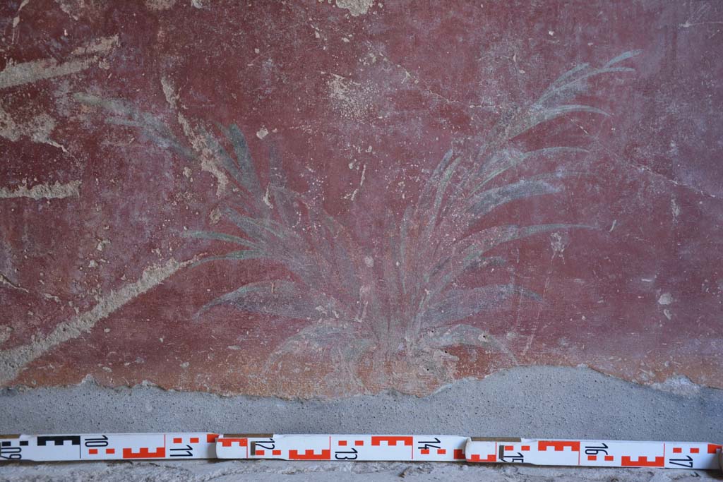 IX.5.9 Pompeii. May 2017. Room �l (L)�, detail of painted plants on zoccolo on lower north wall towards centre.  
Foto Christian Beck, ERC Grant 681269 D�COR.

