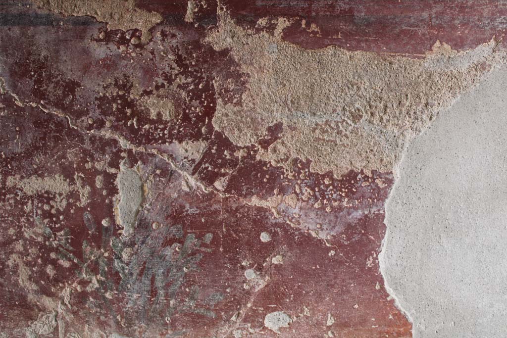 IX.5.9 Pompeii. May 2019. Room l (L), zoccolo on lower north wall at west end, continuation.  
Foto Christian Beck, ERC Grant 681269 D�COR.
