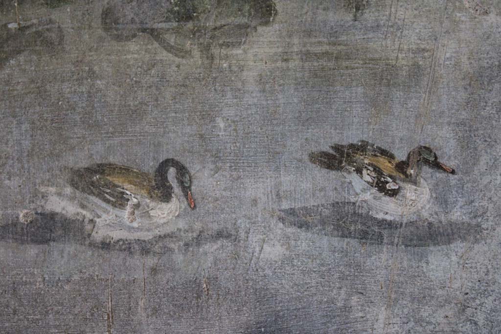IX.5.9 Pompeii. May 2019. Room �l (L)�, detail of ducks from north wall at west end.  
Foto Christian Beck, ERC Grant 681269 D�COR.
