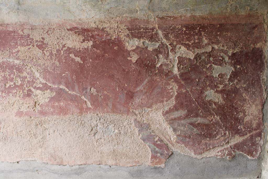 IX.5.9 Pompeii. May 2019. Room �l (L)�, detail of zoccolo with painted plants at west end of south wall.  
Foto Christian Beck, ERC Grant 681269 D�COR.
