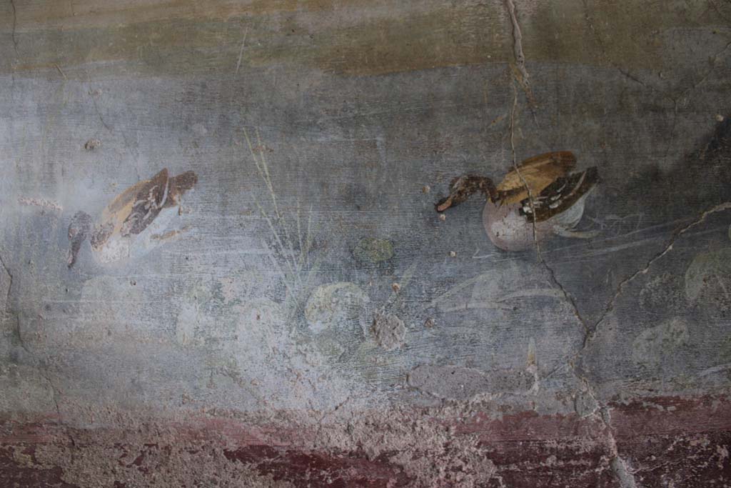 IX.5.9 Pompeii. May 2019. Room �l (L)�, two painted ducks from south wall at west end.  
Foto Christian Beck, ERC Grant 681269 D�COR.

