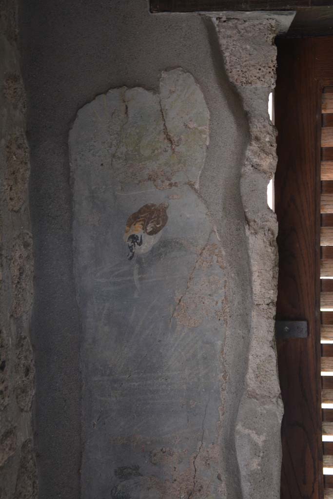 IX.5.9 Pompeii. March 2017. Room �l (L)�, south wall at east end of window.  
Foto Christian Beck, ERC Grant 681269 D�COR.


