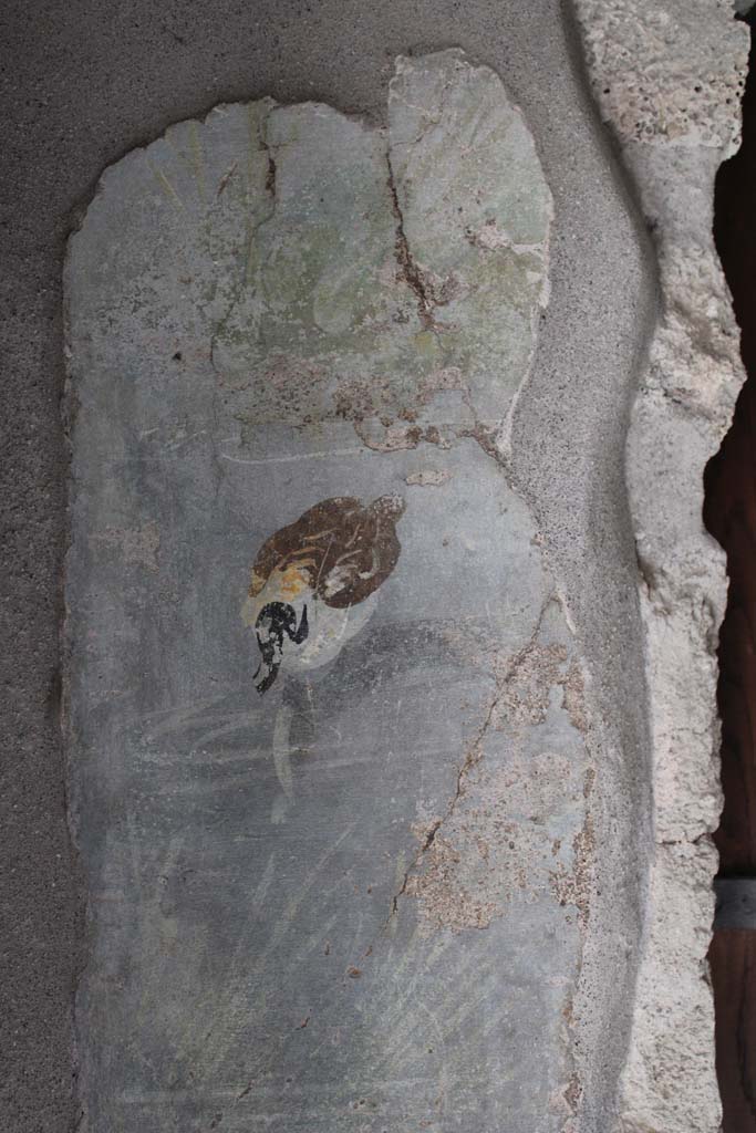 IX.5.9 Pompeii. May 2019. 
Room �l (L)�, painted panel with duck from south wall at east end of window.     
Foto Christian Beck, ERC Grant 681269 D�COR.
