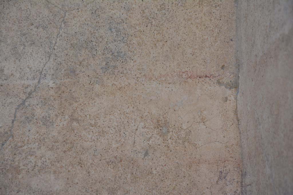 IX.5.9 Pompeii. May 2017. Room �m�, detail from south wall in south-west corner.
Foto Christian Beck, ERC Grant 681269 D�COR.

