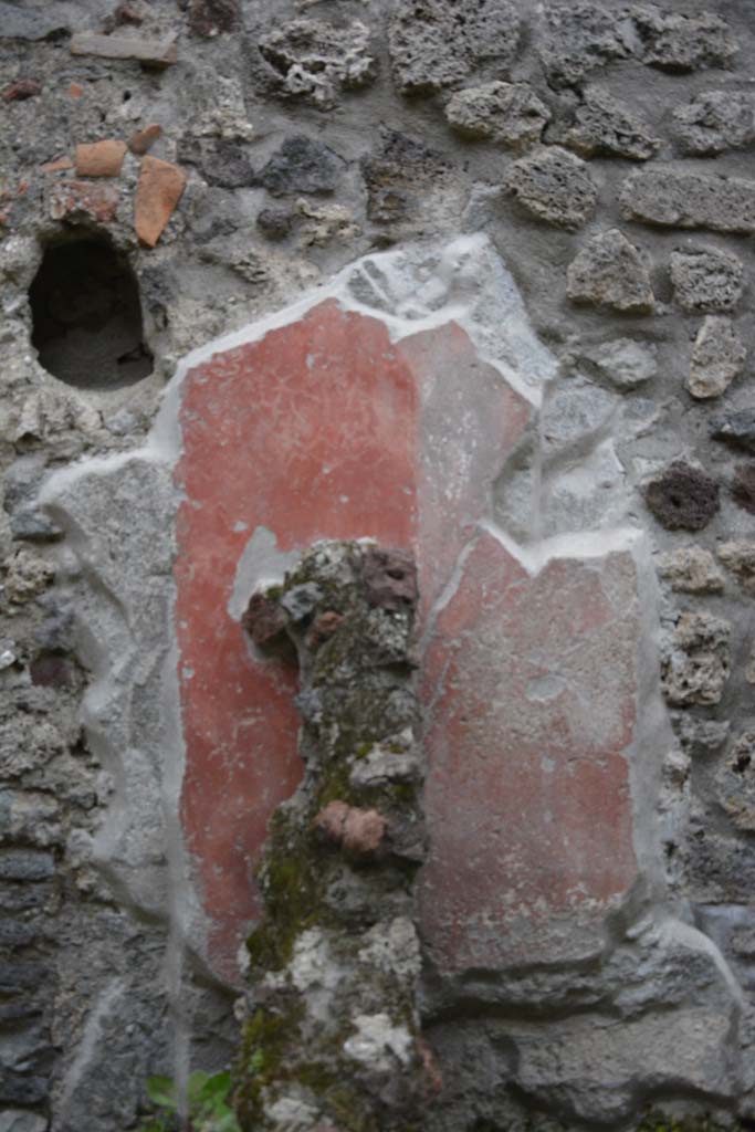 IX.5.9 Pompeii. March 2017. Room �n/q�, detail of painted decoration at rear of separating wall. 
Foto Christian Beck, ERC Grant 681269 D�COR.
