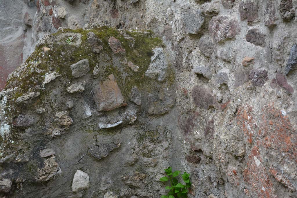 IX.5.9 Pompeii. March 2017. Room �n�, looking south towards detail of dividing wall.  
Foto Christian Beck, ERC Grant 681269 D�COR.
