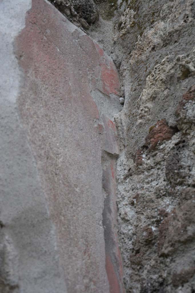 IX.5.9 Pompeii. March 2017. Room �n/q�, detail from upper south wall at west end. 
Foto Christian Beck, ERC Grant 681269 D�COR.
