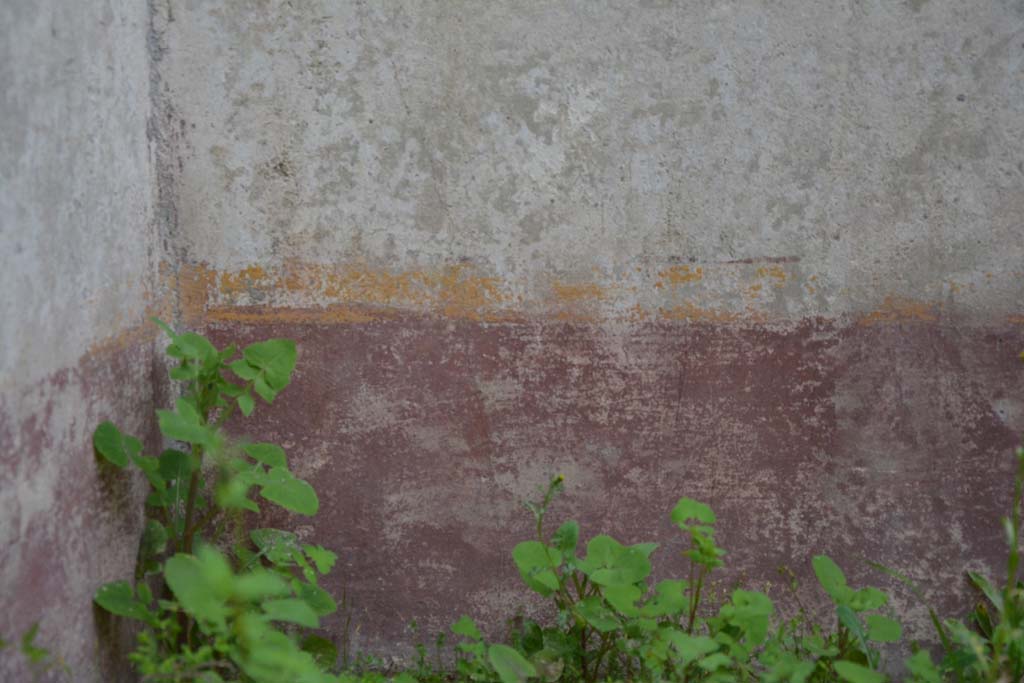 IX.5.9 Pompeii. March 2017. Room “o”, detail from south wall in south-east corner.
Foto Christian Beck, ERC Grant 681269 DÉCOR.